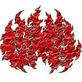 Psychopathological Crisis